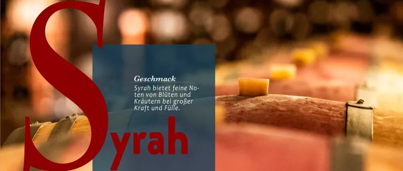 Syrah ist eine Sorte, die oft und gut im Barrique reift