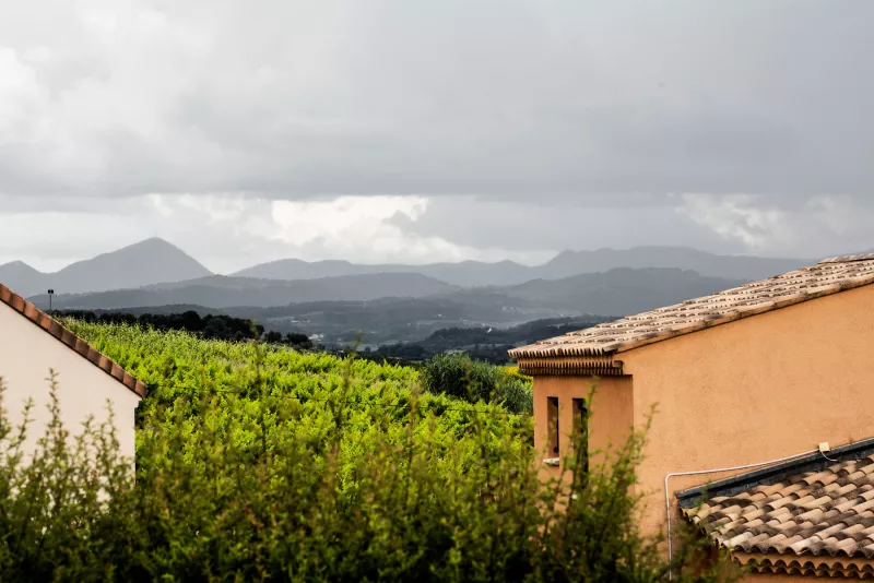 Syrah an der sdlichen Rhône in einem Sommergewitter über Rasteau in der Provence