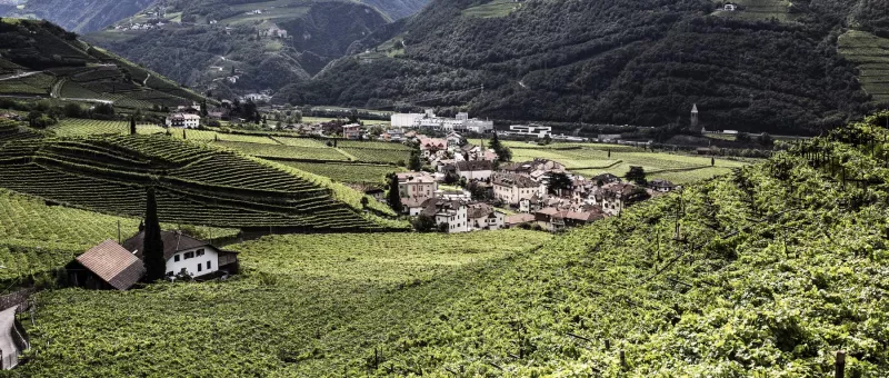 Der UNtermoserhof von Georg Ramoser liegt knapp oberhalb von Bozen in Südtirol