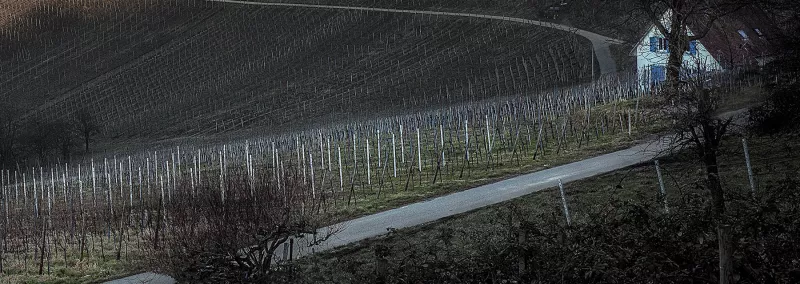 Die Ötlinger Sonnhohle - ein steiler Weinberg der Schneiders mit dem markanten Rebhäuschen