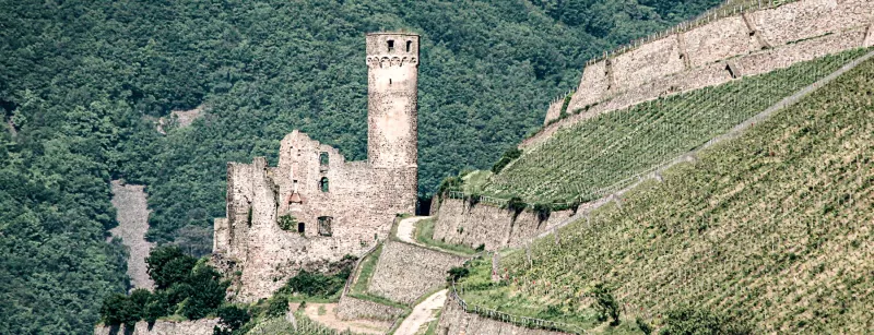 Alte Geschichte: der [[reg || Rheingau]] und der Wein