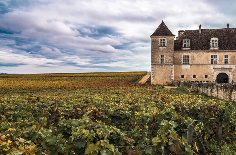 Aus dem Burgund erzeugen Winzer aus den Rebsorten Pinot Noir und Chardonnay sehr hochwertige Weine