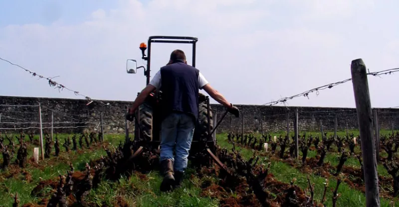 Champalou aus Vouvray