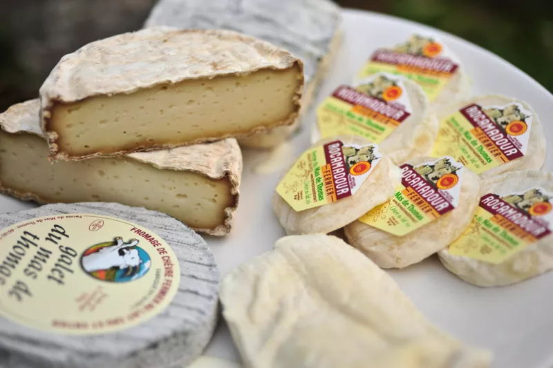 Käse, Pasteten und Trüffel sind die Produkte im Cahors - und der passende Wein