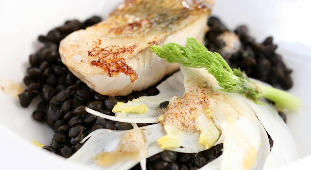 Die Linsen als Grundton. Dünner Fenchel als geschmacklicher Tupfer. Zander mit feiner Textur.
