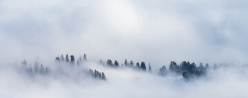 Nebel ist dem [[reg || Piemont]] häufig im Herbst zur Lese. Die Beeren behalten ihre frische Säure, reifen voll aus und ergeben ausgewogen, aromatische Weine