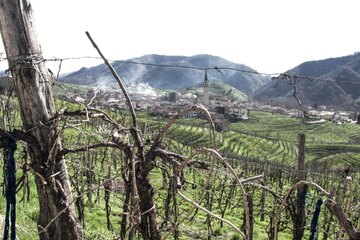 Das Weingut Bival in den Hügeln bei Guia in der DOC Prosecco