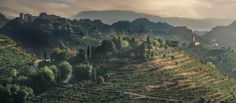 Prosecco Weinberge bei San Lorenzo. Auf den steilen hängen wachsen die besten Weine aus Gera