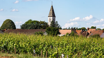 Nuits Saint George. Normale Menschen in normalen Häusern machen normalen Wein