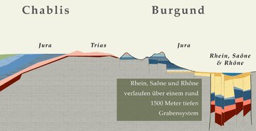 Die größten Flächen im Burgund liegen im Talgrund zum Fluß der Saône. Die Village Weine liegen - meist - am unteren Ende der Hänge. Die besseren Premier und Cru Lagen dort, wo altes Gestein und jüngere Ablagerungen (Hangbruch) eine gute oder sehr gute Kombination bilden.