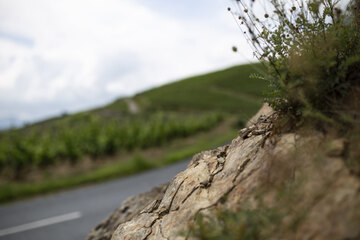 Steil, karg und der Sonne ausgesetzt: das ideale Terroir für Viognier an der nördlichen Rhône