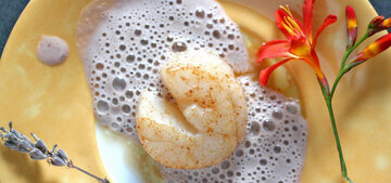 Jakobsmuschel mit Sauce aufgeschäumt mit Lavendel