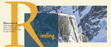 Riesling schafft einen extrem mineralischen Charakter mit warmen Fruchtnoten zu verbinden