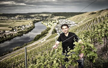 Riesling Reben im Weingut Kirsten an der Mosel