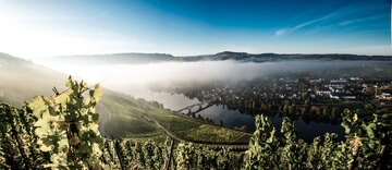 Lange Reife im Herbst ist Voraussetzung für große Freude am Riesling