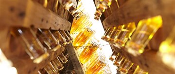 Riesling ist eine ideale Traubensorte für Sekt