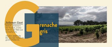 Grenache Gris Weine sind südliche Weine mit wenig Säure