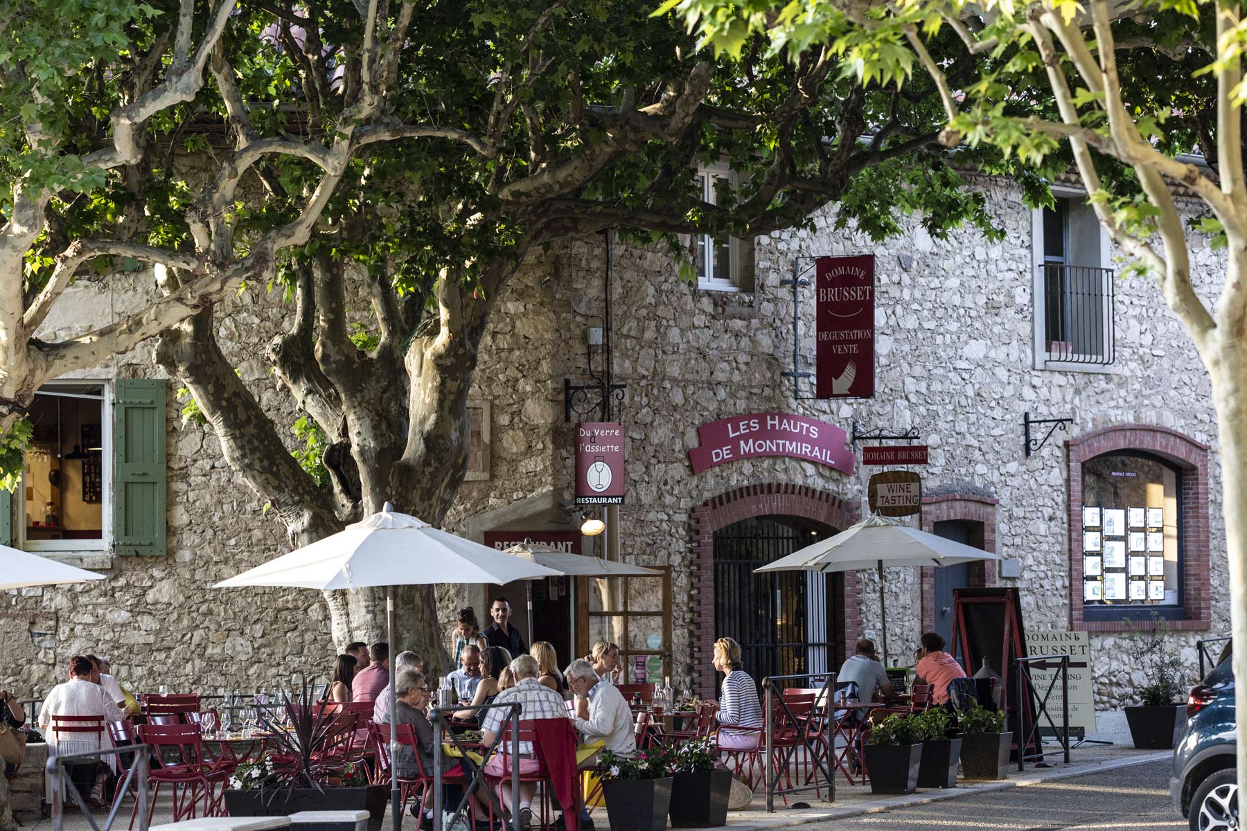Mourvèdre liebt die Wärme wie hier in Gigondas