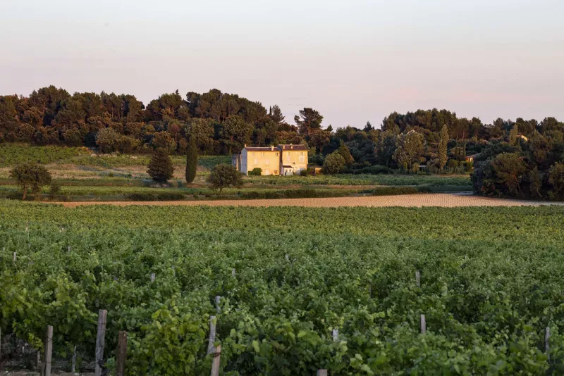 Weingut in der Nähe von Beaume de Venise