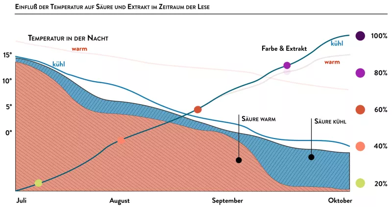 In warmen Regionen wird mehr Säure abgebaut als in kühleren Weinregionen 