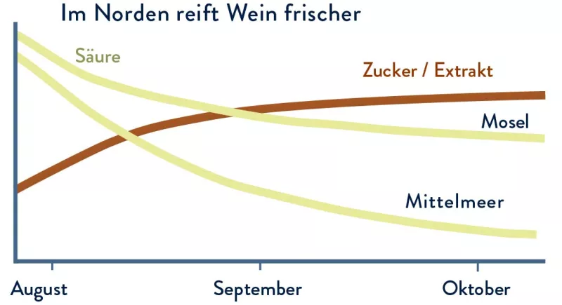 Die Säure südlicher Weine ist niedriger