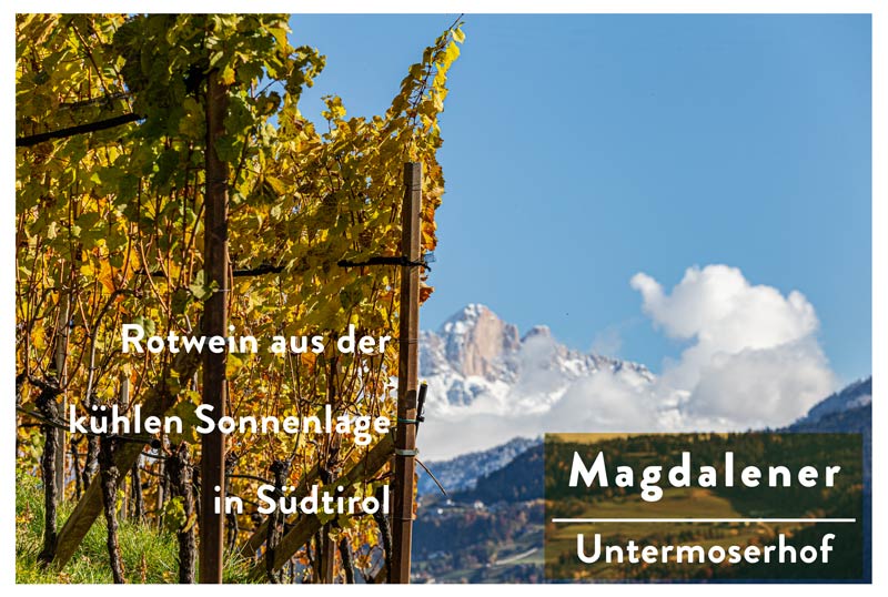 magdalener_7028_q.jpg