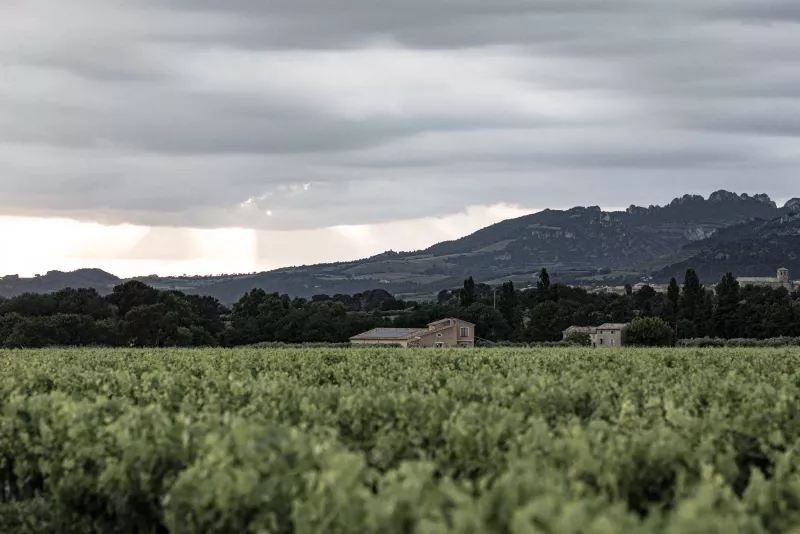 Die Dentelles de Montmirais oberhalb von Beaumes de Venise