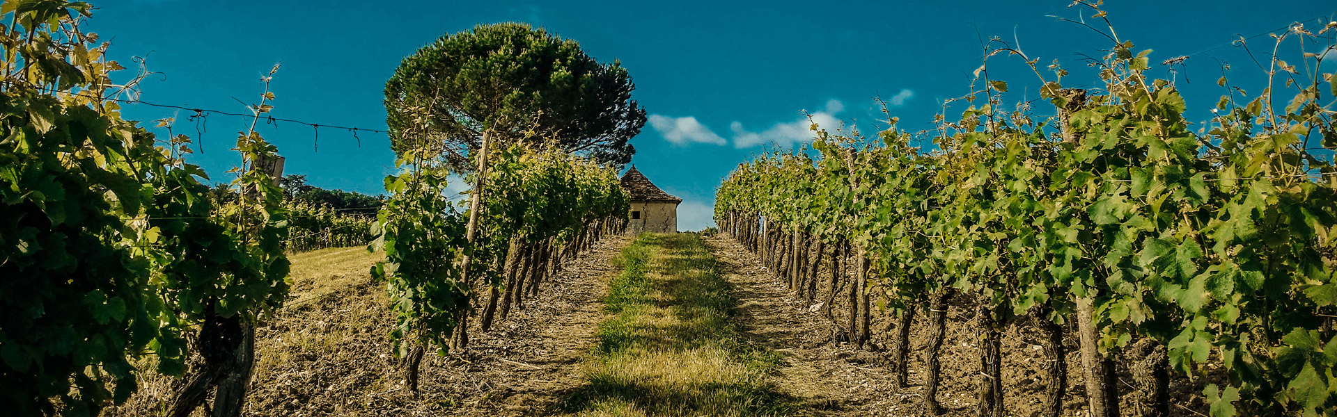 Der Begriff des Terroir ist nicht unumstritten