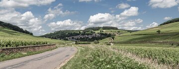 Pernand-Vergelesses liegt zwischen zwei Combes