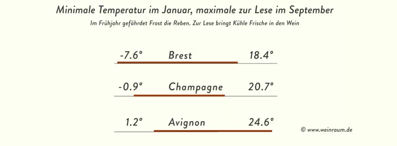 Grenzen des guten Weißweines: Frost im Frühjahr und Kühle zur Zeit der Lese