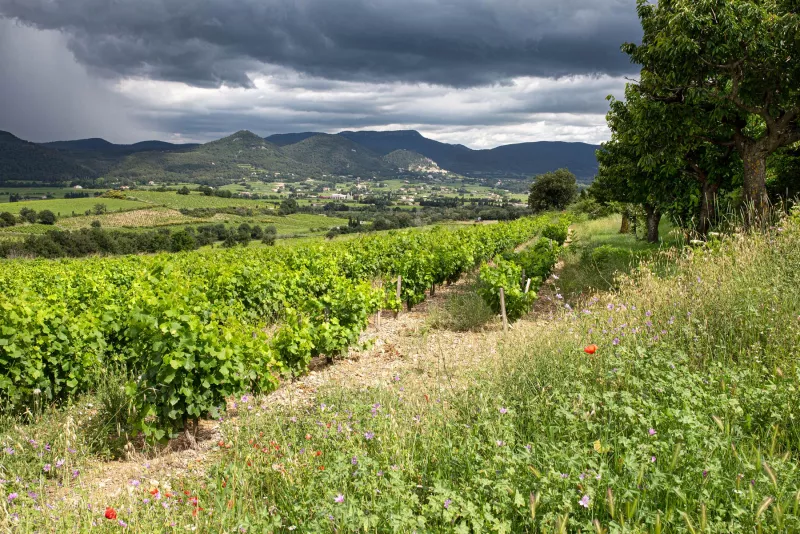 Gewitterstimmung in der Provence. Séguret am Hang geradeaus liegt in der Sonne,  in Malaucène links hinter den Hügeln waren später die Strassen überflutet.