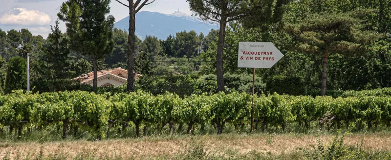 Viele Winzer haben Weinberge in Vacqueyras, das Weingut ist jedoch an einem anderen Ort