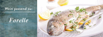 Forelle und Saibling sind verwandt und schmecken ähnlich - der Saibling mit seinem rötlichen Fleisch ist der aromatischer von beiden.