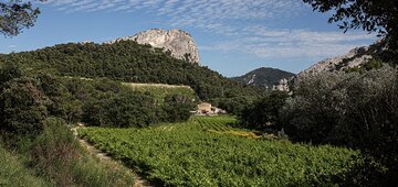 Die Domaine Cassan nördlich von Lafare