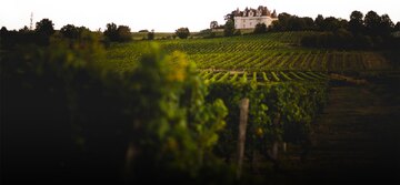 Das Weingut liegt in Prigonrieux, wenige Kilometer westlich von Bergerac