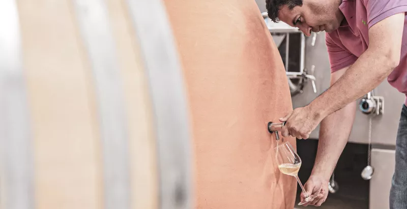 Alberto Moro prüft die Reife eines neuen Jahrgangs in seinem Weinkeller