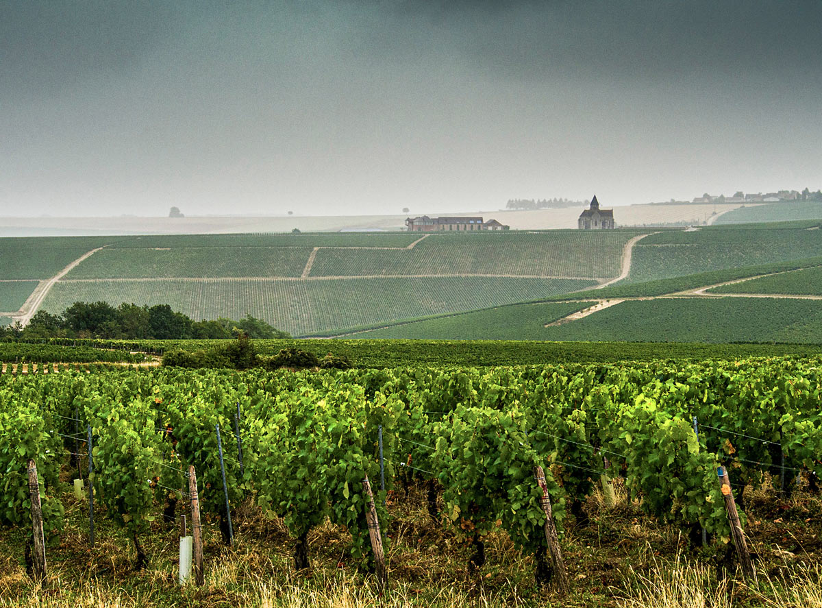 Chablis und Pinot Noir