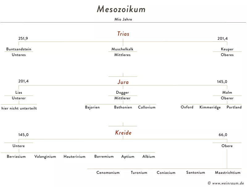 Das Mesozoikum ist das Erdmittelalter. Viele Weinregionen entstanden in dieser Epoche oder die Grundlagen wurden gebildet