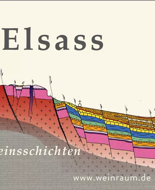 Der Ursprung des Riesling im Elsass