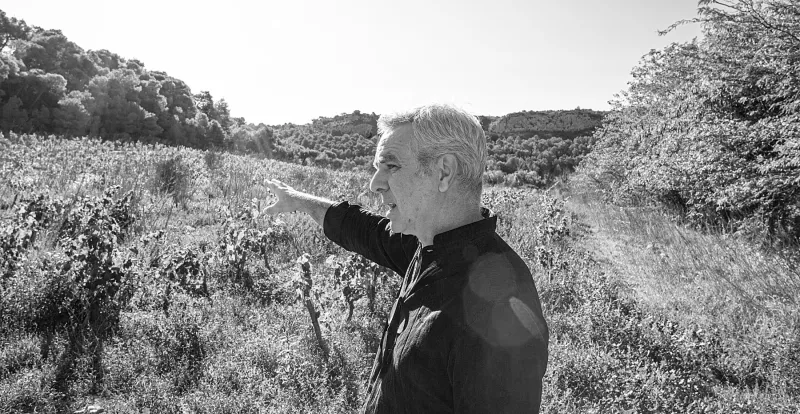 Christophe Bousquet vom Château Pech Redon hat klare Vorstellungen der Weine von [[reg || La Clape]]