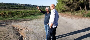 Ein Überblick über die Weinberge von Pech Redon