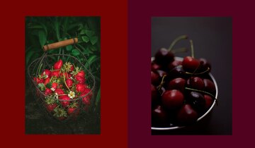 Blauburgunder und Pinot Noir